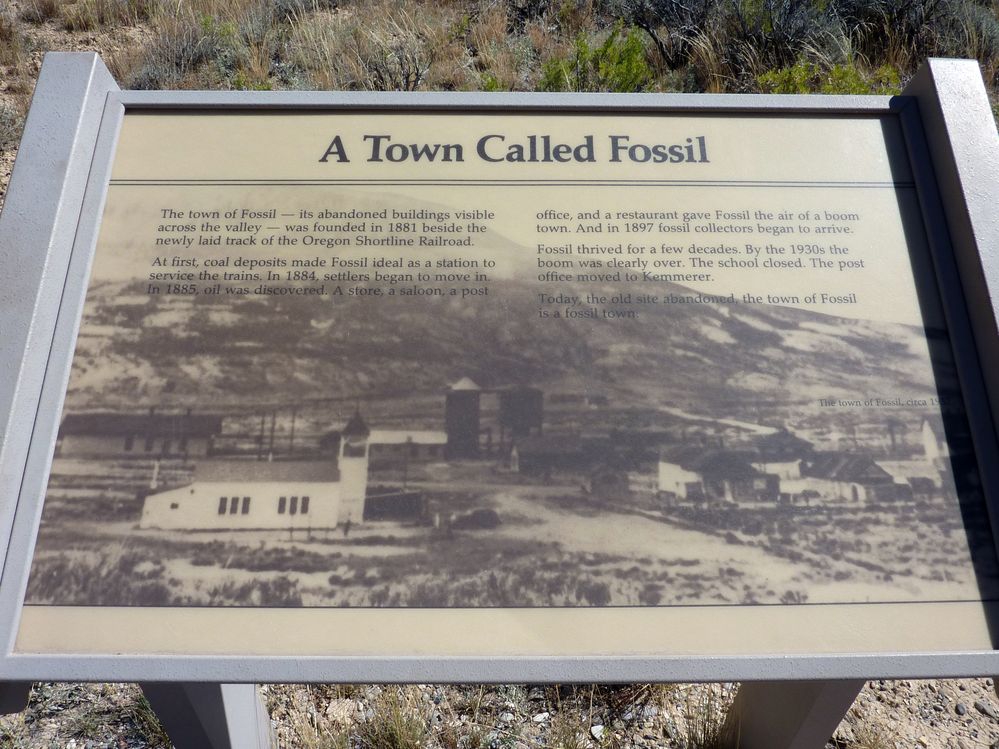 Fosile butte (36).JPG